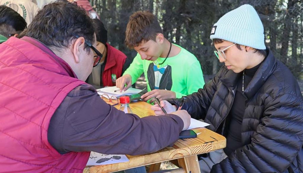 Estrategias para mejorar la memoria y el aprendizaje