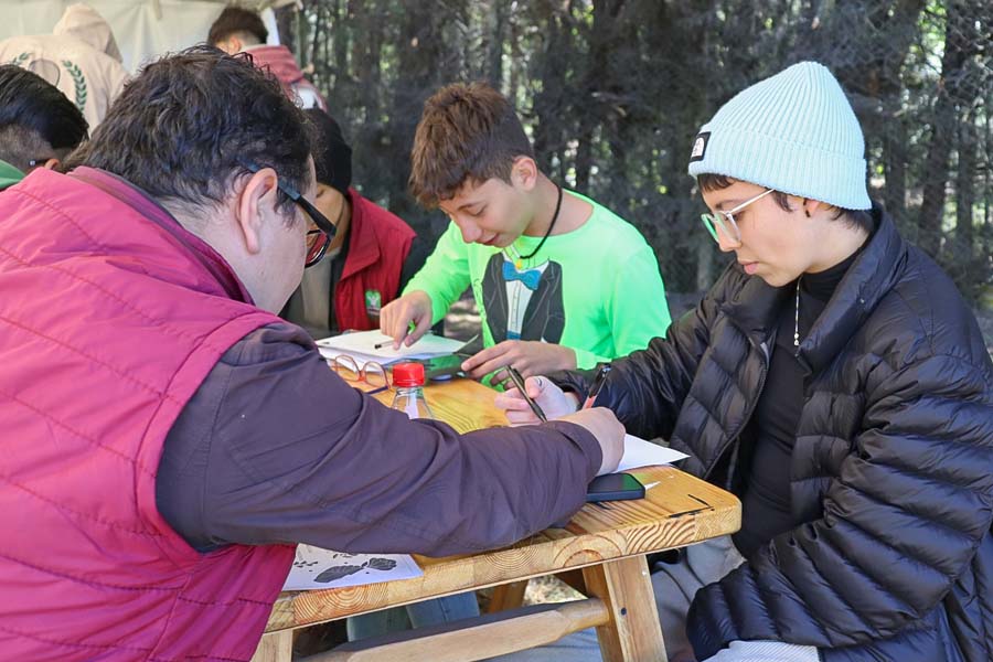 Estrategias para mejorar la memoria y el aprendizaje