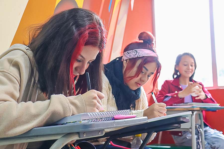 Adaptación al ritmo de aprendizaje de cada estudiante El valor de los colegios por ciclos