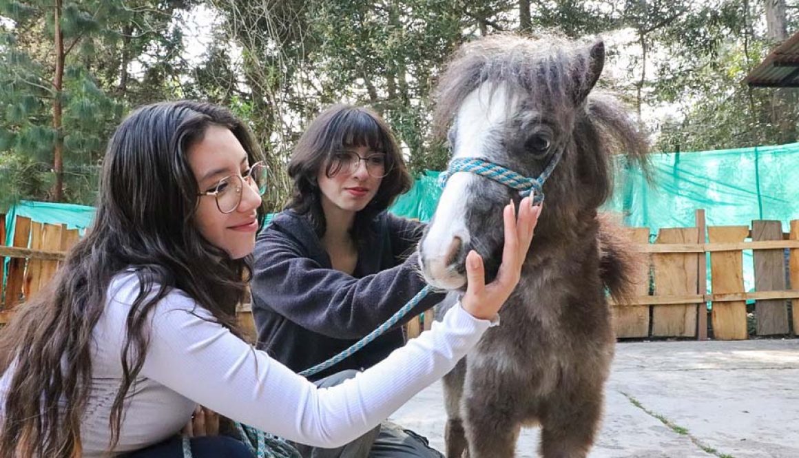 Educación y cuidado animal para formar ciudadanos