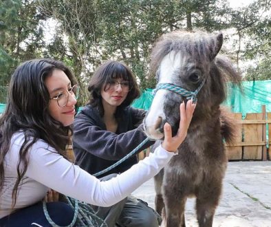 Educación y cuidado animal para formar ciudadanos