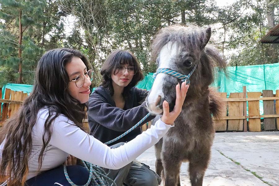 Educación y cuidado animal para formar ciudadanos