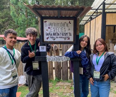 Un nuevo comienzo acompañar procesos y fortalecer aprendizajes